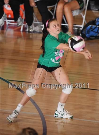 Thumbnail 2 in St. Joseph @ Righetti photogallery.