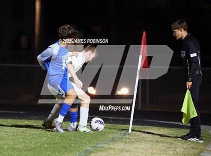 Thumbnail 3 in Yulee @ Stanton photogallery.