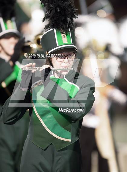 Thumbnail 1 in Cactus Shadows @ Horizon photogallery.