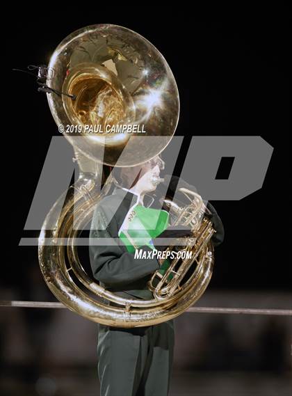 Thumbnail 2 in Cactus Shadows @ Horizon photogallery.