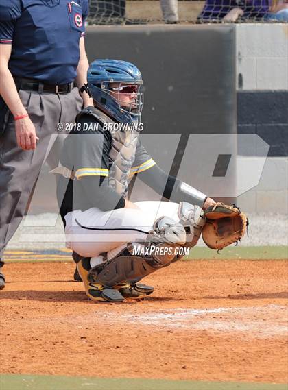 Thumbnail 2 in White County vs Gibbs photogallery.