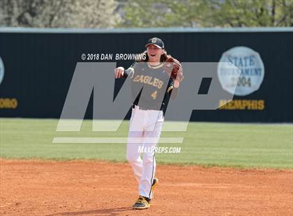 Thumbnail 3 in White County vs Gibbs photogallery.