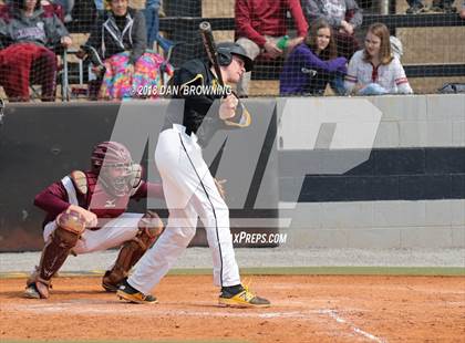 Thumbnail 3 in White County vs Gibbs photogallery.
