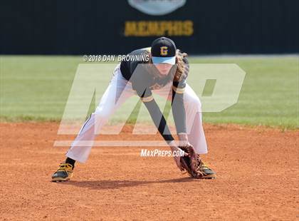 Thumbnail 1 in White County vs Gibbs photogallery.