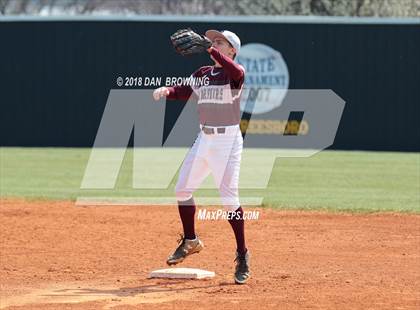 Thumbnail 1 in White County vs Gibbs photogallery.