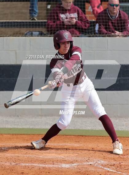 Thumbnail 1 in White County vs Gibbs photogallery.