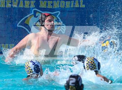 Thumbnail 2 in Alhambra vs. Livermore photogallery.