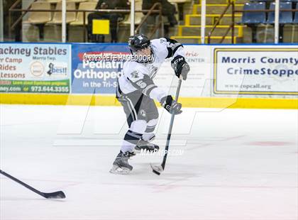 Thumbnail 3 in Vernon @ Parsippany Hills photogallery.