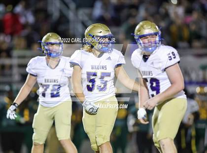 Thumbnail 1 in Brentwood @ Hillsboro photogallery.