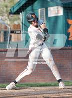 Photo from the gallery "Reed @ Douglas"