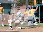 Photo from the gallery "Reed @ Douglas"