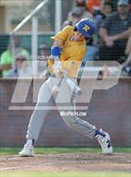 Photo from the gallery "Reed @ Douglas"