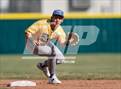 Photo from the gallery "Reed @ Douglas"