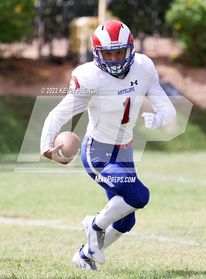 Thumbnail 1 in Antelope @ Glendale Prep Academy photogallery.