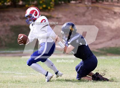 Thumbnail 3 in Antelope @ Glendale Prep Academy photogallery.