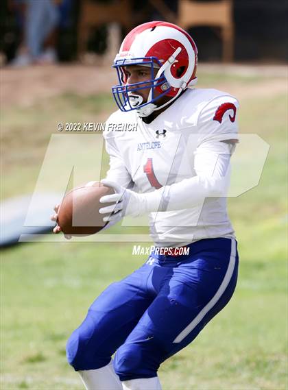 Thumbnail 3 in Antelope @ Glendale Prep Academy photogallery.