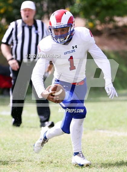 Thumbnail 3 in Antelope @ Glendale Prep Academy photogallery.