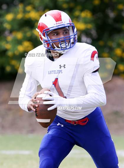 Thumbnail 1 in Antelope @ Glendale Prep Academy photogallery.