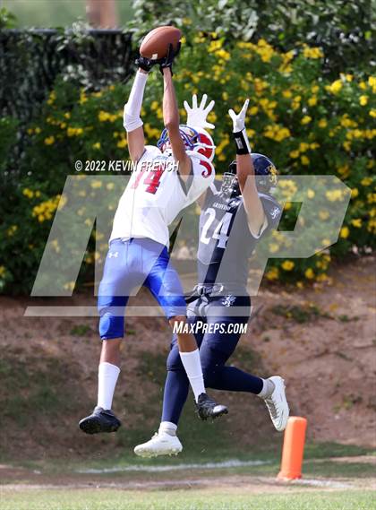 Thumbnail 1 in Antelope @ Glendale Prep Academy photogallery.