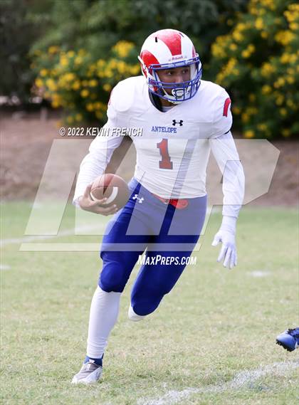 Thumbnail 2 in Antelope @ Glendale Prep Academy photogallery.
