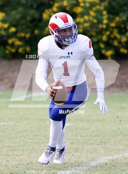 Thumbnail 1 in Antelope @ Glendale Prep Academy photogallery.