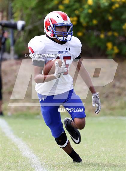 Thumbnail 3 in Antelope @ Glendale Prep Academy photogallery.