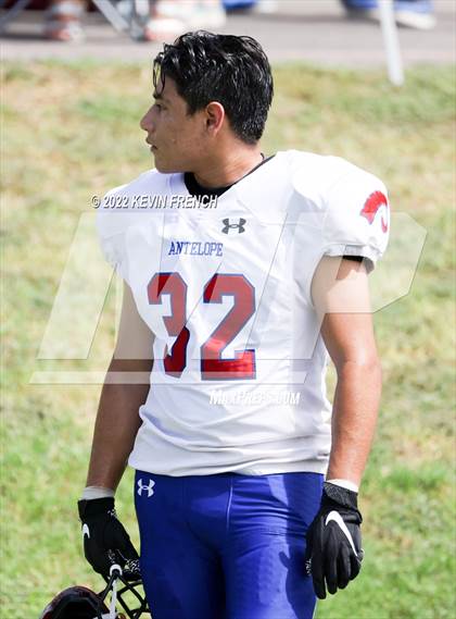 Thumbnail 1 in Antelope @ Glendale Prep Academy photogallery.