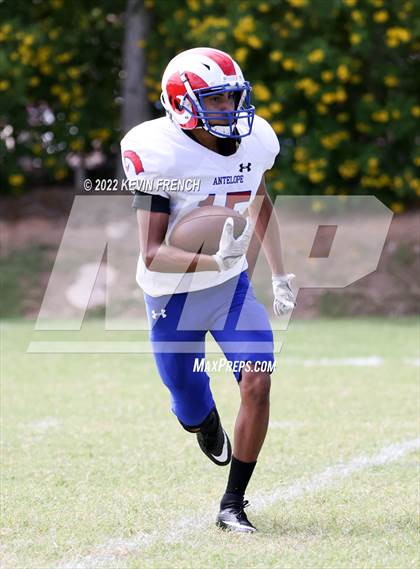 Thumbnail 2 in Antelope @ Glendale Prep Academy photogallery.