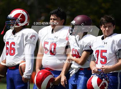 Thumbnail 2 in Antelope @ Glendale Prep Academy photogallery.