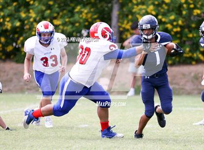 Thumbnail 3 in Antelope @ Glendale Prep Academy photogallery.