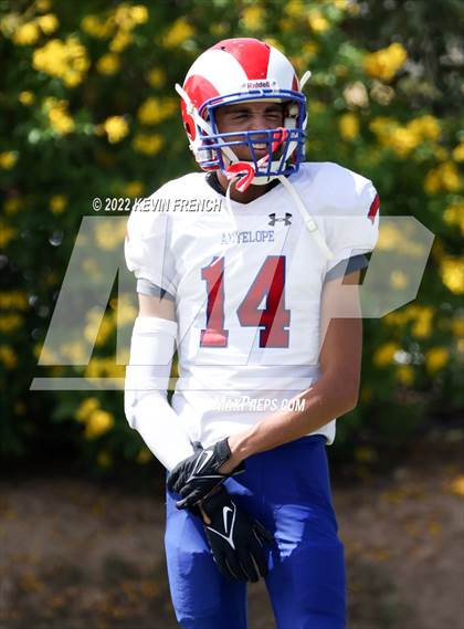 Thumbnail 1 in Antelope @ Glendale Prep Academy photogallery.
