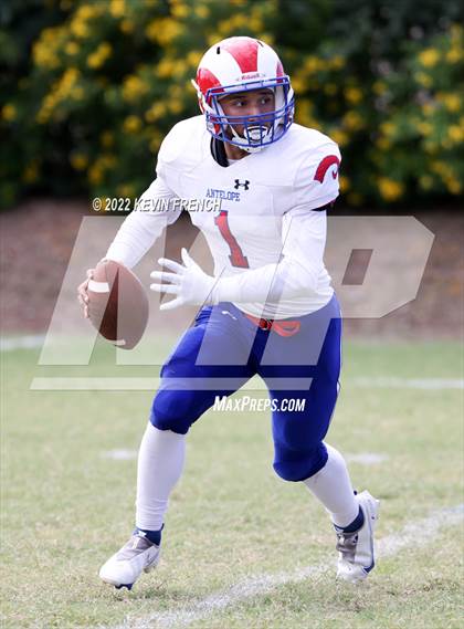 Thumbnail 3 in Antelope @ Glendale Prep Academy photogallery.