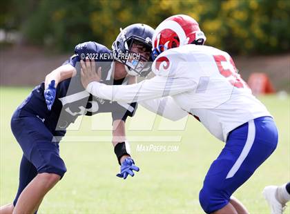Thumbnail 1 in Antelope @ Glendale Prep Academy photogallery.