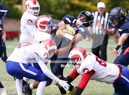 Thumbnail 1 in Antelope @ Glendale Prep Academy photogallery.