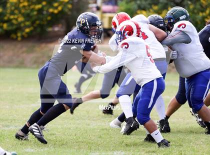 Thumbnail 1 in Antelope @ Glendale Prep Academy photogallery.