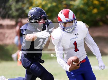 Thumbnail 2 in Antelope @ Glendale Prep Academy photogallery.