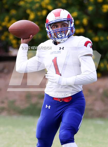 Thumbnail 1 in Antelope @ Glendale Prep Academy photogallery.