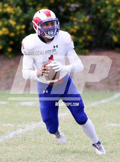 Thumbnail 3 in Antelope @ Glendale Prep Academy photogallery.