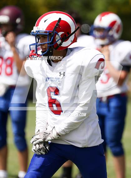 Thumbnail 3 in Antelope @ Glendale Prep Academy photogallery.