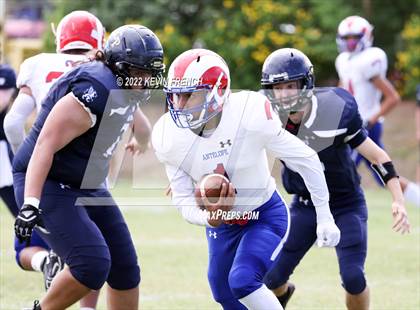 Thumbnail 3 in Antelope @ Glendale Prep Academy photogallery.