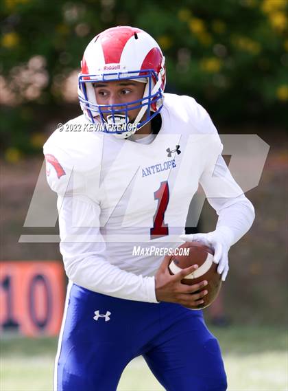 Thumbnail 1 in Antelope @ Glendale Prep Academy photogallery.
