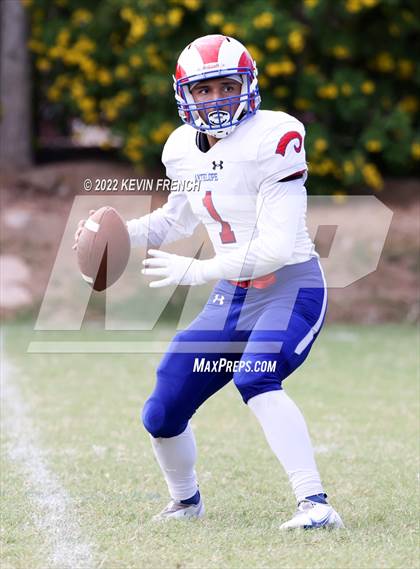 Thumbnail 2 in Antelope @ Glendale Prep Academy photogallery.