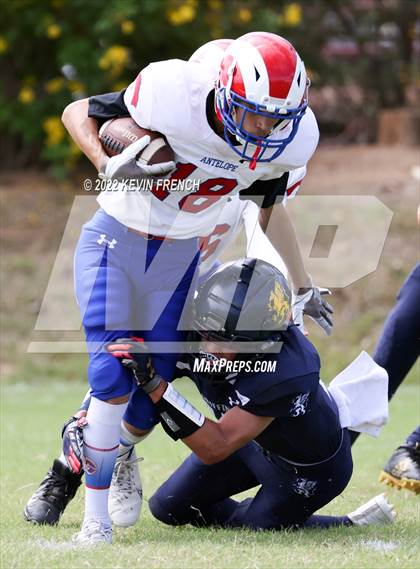 Thumbnail 3 in Antelope @ Glendale Prep Academy photogallery.
