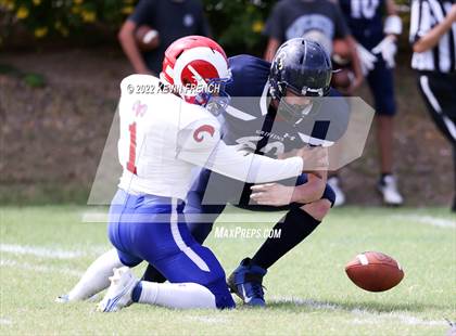 Thumbnail 1 in Antelope @ Glendale Prep Academy photogallery.