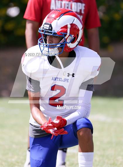 Thumbnail 3 in Antelope @ Glendale Prep Academy photogallery.