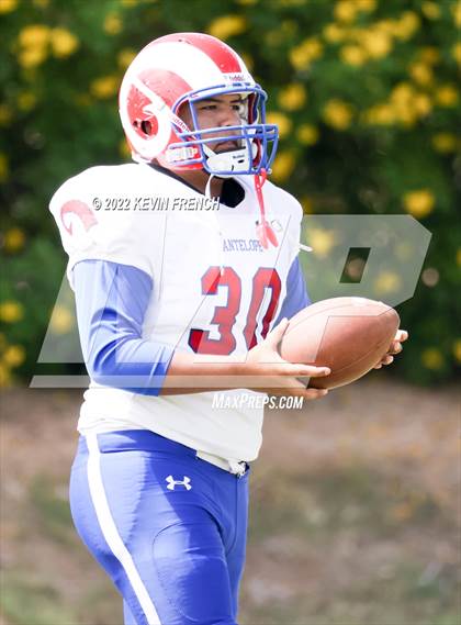 Thumbnail 3 in Antelope @ Glendale Prep Academy photogallery.