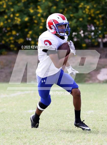 Thumbnail 3 in Antelope @ Glendale Prep Academy photogallery.