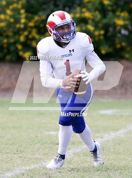 Thumbnail 2 in Antelope @ Glendale Prep Academy photogallery.