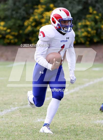 Thumbnail 3 in Antelope @ Glendale Prep Academy photogallery.