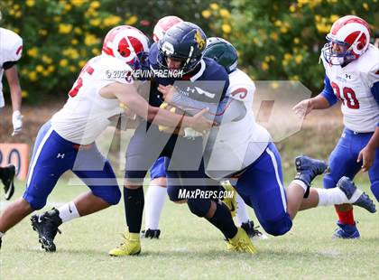 Thumbnail 3 in Antelope @ Glendale Prep Academy photogallery.